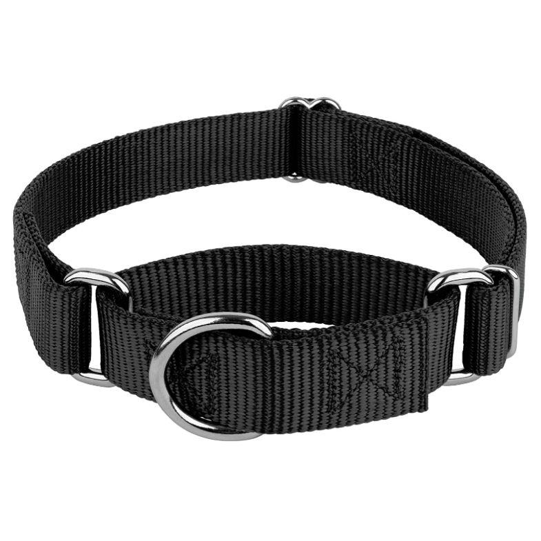 Collar Martingale para perros
