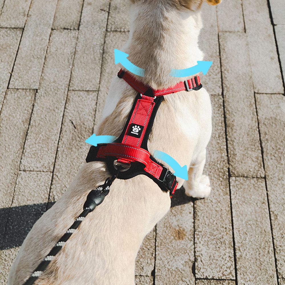 Pretal Resistente Tipo H para perros